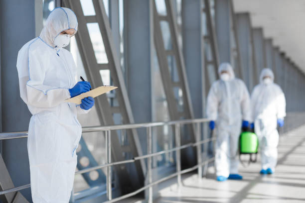 Best Basement Mold Removal  in Pittsville, MD