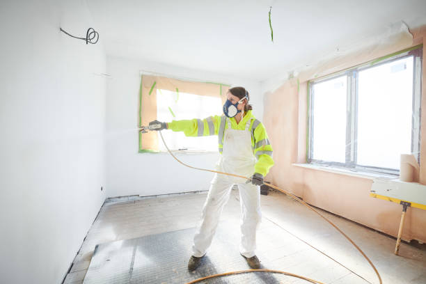 Best Mold Prevention Services  in Pittsville, MD