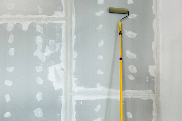 Best Post-Construction Mold Inspection  in Pittsville, MD