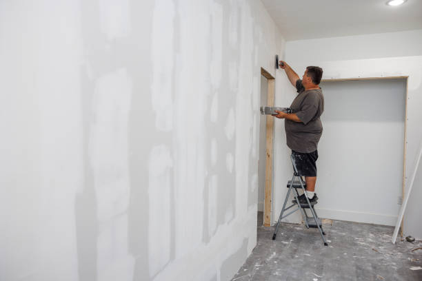 Best Mold Removal for HVAC Installations  in Pittsville, MD