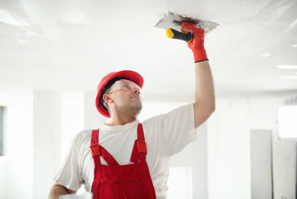 Best Commercial Mold Inspection  in Pittsville, MD