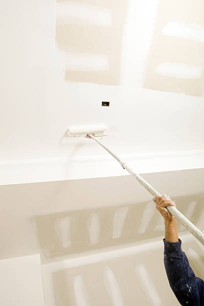 Best Water Damage & Mold Remediation  in Pittsville, MD