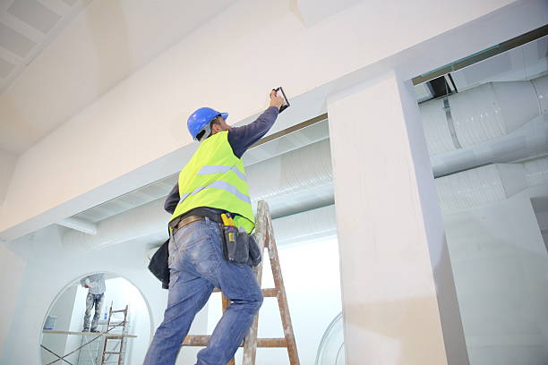 Best Emergency Mold Remediation  in Pittsville, MD