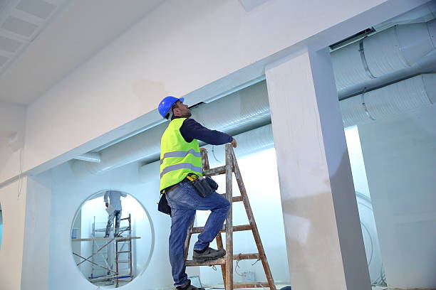 Best Mold Odor Removal Services  in Pittsville, MD